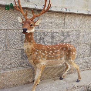 仿真梅花鹿 仿真動物模型廠家供應 廠家直銷 仿真動物 逼真仿真動物