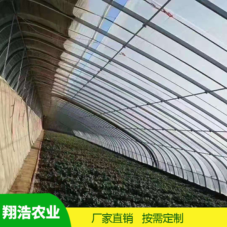 河北育苗單體拱棚 蔬菜薄膜拱形溫室 簡(jiǎn)易單體拱棚溫室大棚定制