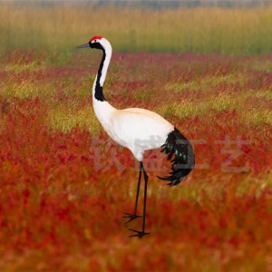 仿真丹頂鶴標本 仿真羽毛動物模型 景區創意擺件