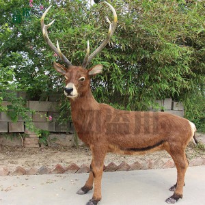 仿真動物模型 景區(qū)仿真白唇鹿裝飾擺件 來圖可設(shè)計定做