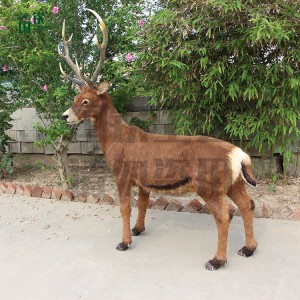 仿真白唇鹿模型 國欽皮毛動物工藝品 公園景區動物園擺件