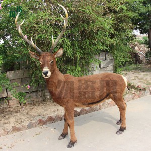 仿真仿真白唇鹿模型標本 動物博物館 影視道具