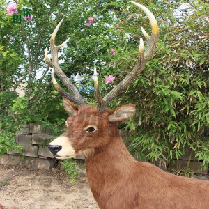 仿真白唇鹿模型 國欽皮毛動物工藝品 公園景區動物園擺件