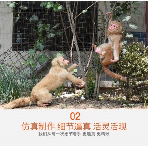 動物仿真模型 創新動物 回歸自然動物